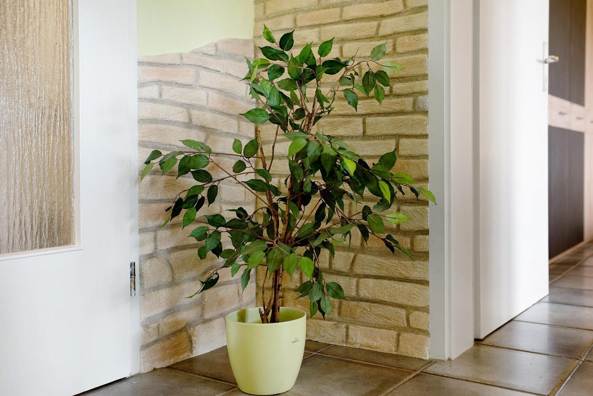 Ado Ferienwohnung 그라펜하우젠 외부 사진